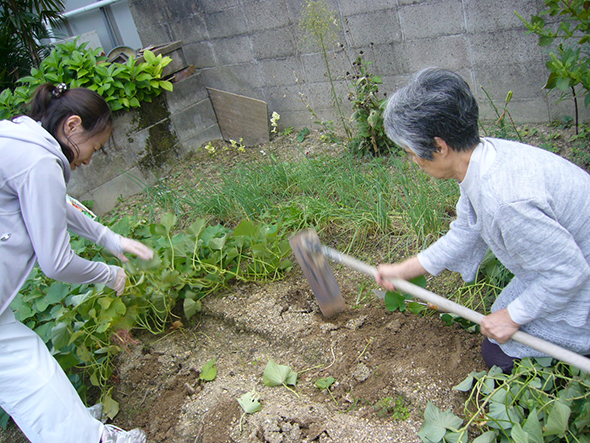 訪問リハビリテーションでは、時には一緒に農作業を行うこともある