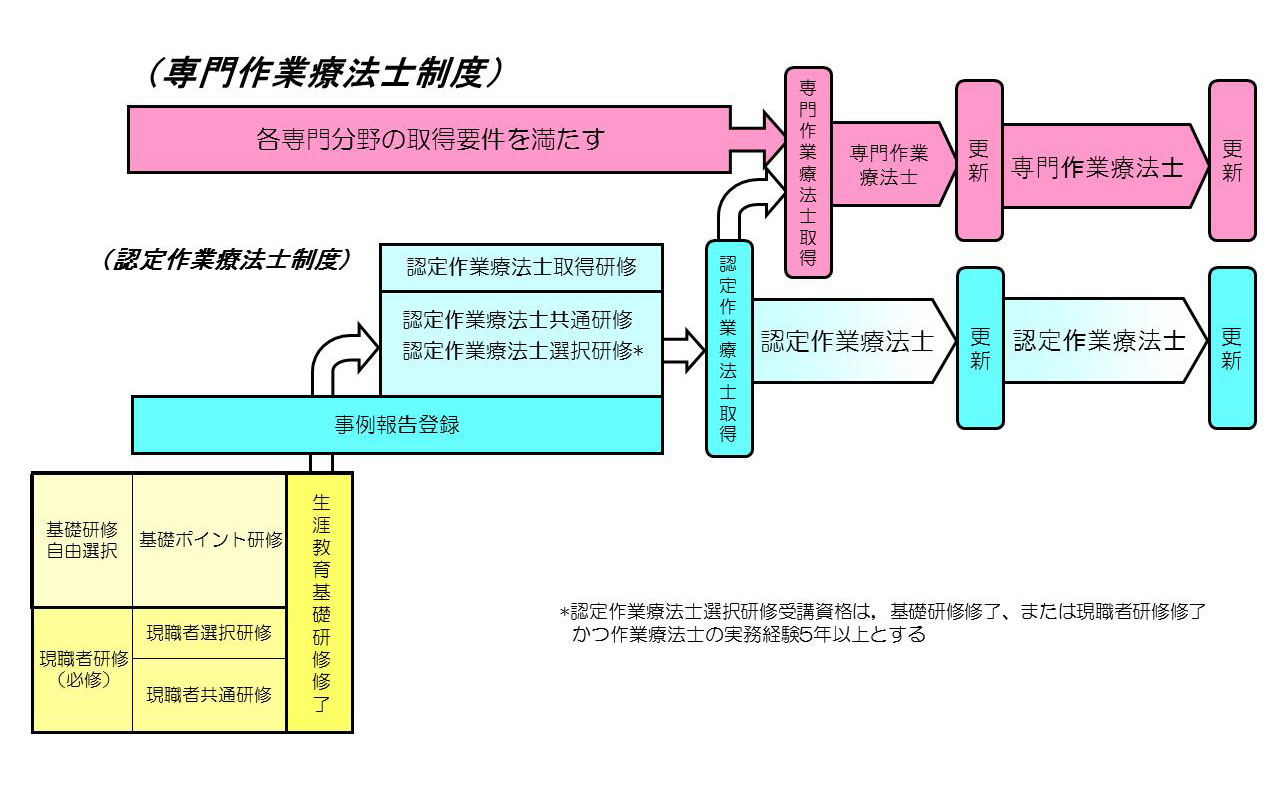 専門作業療法士制度