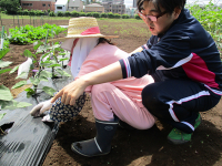 医療法人財団緑秀会 田無病院